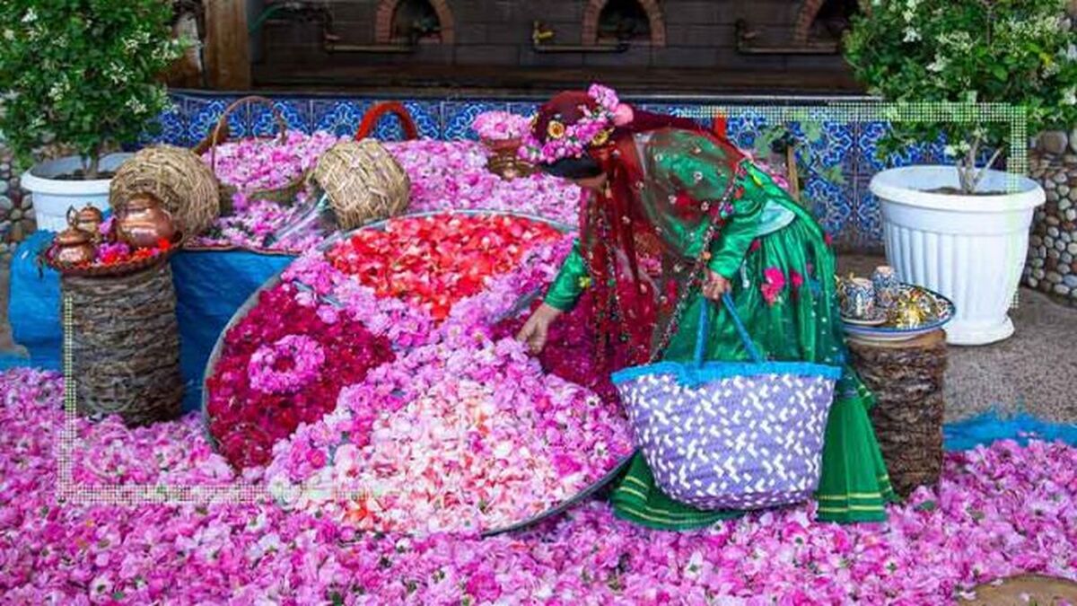 سایه سنگین بی‌مهری بر خاستگاه گل و گلاب جنوب کشور