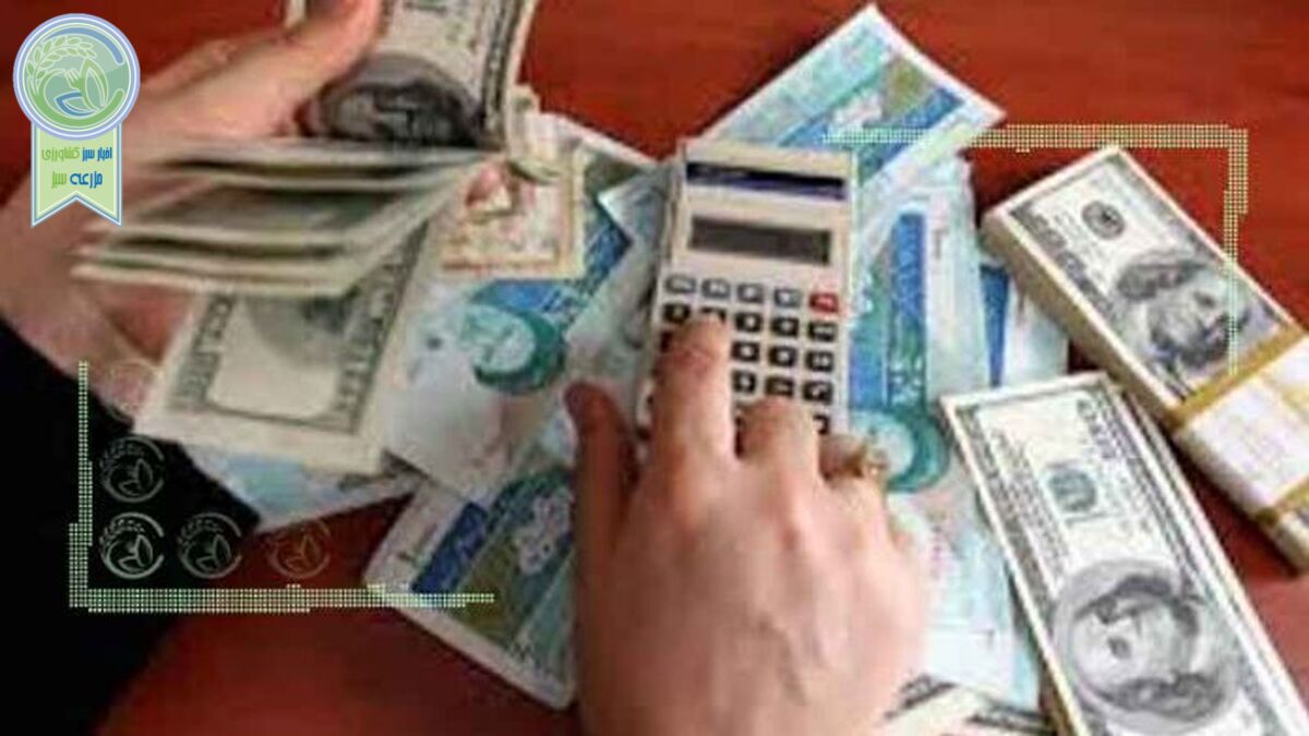نجات اقتصاد کشور با حذف ارز دولتی