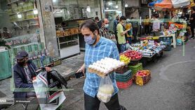 تخم مرغ شانه ای 170هزار تومان می شود