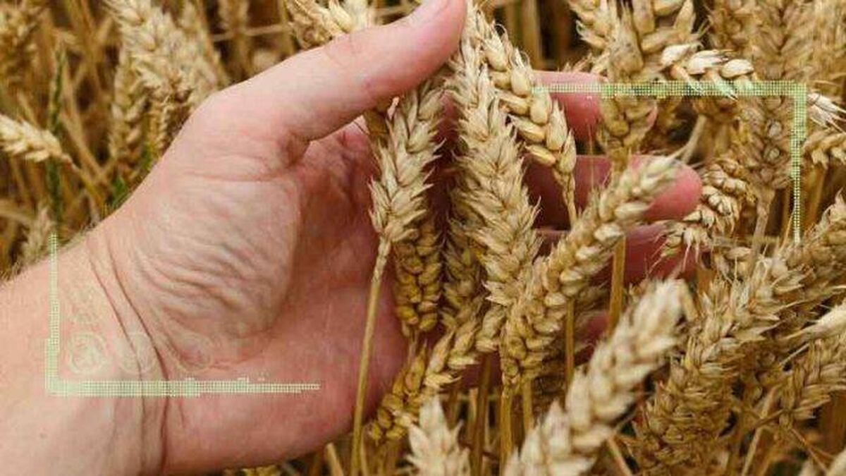 حضور فعال هیات‌‌های ایرانی در کنفرانس ایران گرین