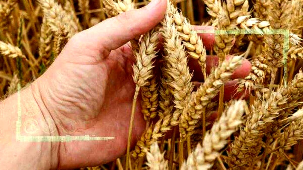حضور فعال هیات‌‌های ایرانی در کنفرانس ایران گرین