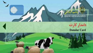 آمادگی بانک کشاورزی برای صدور دامدار کارت