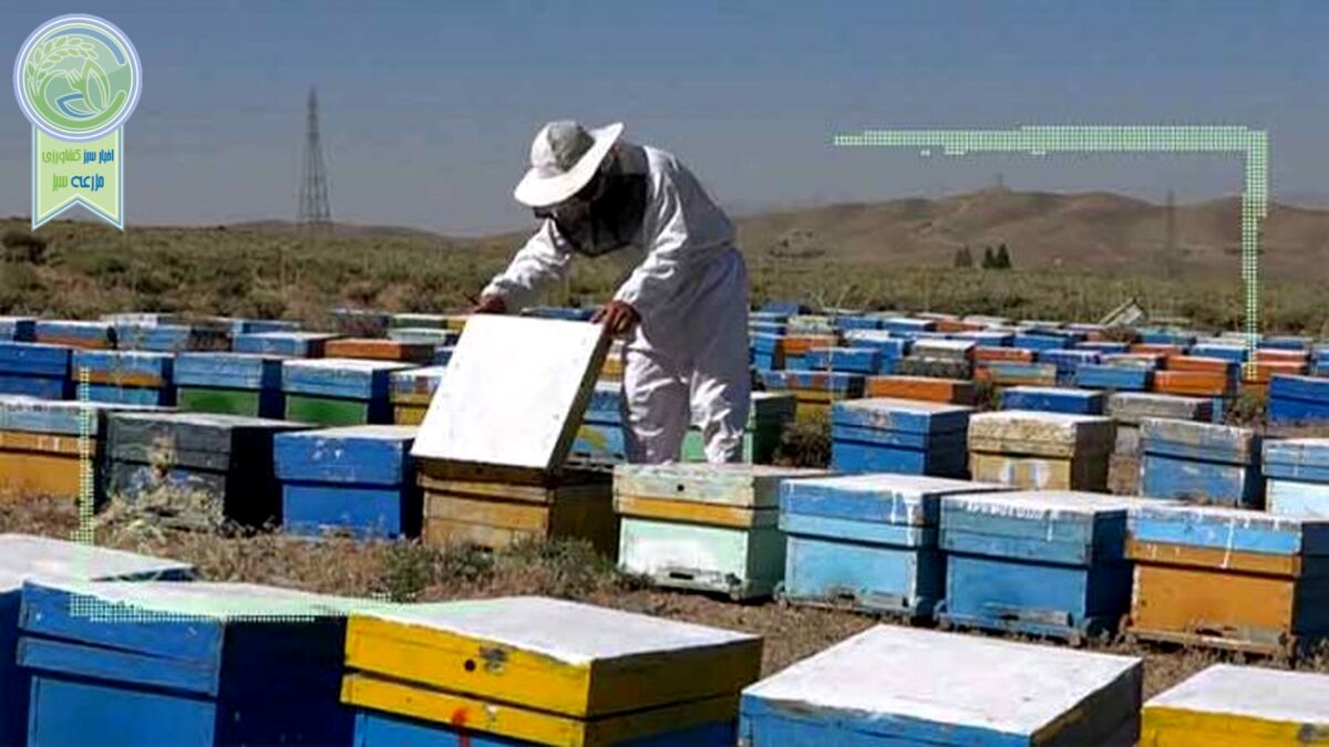 بانوان زنبوردار خستگی‌ناپذیر در عرصه تولید