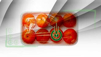 چرا با تضییع‌کنندگان بیت‌المال در تعاون روستایی برخورد نمی‌شود؟