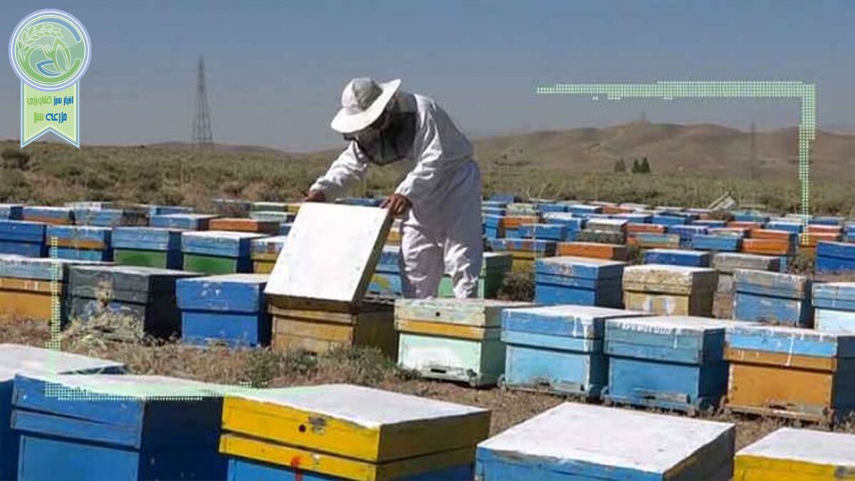 چالش‌های خشکسالی در صنعت زنبورداری