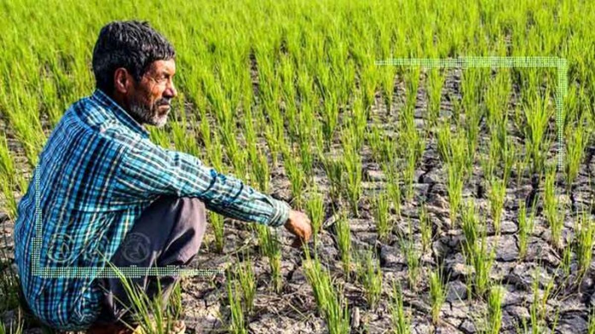 جدال کشاورزان گلستان با عفریت خشکسالی
