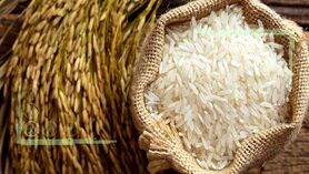 دولت از تنظیم بازار برنج کناره گیری کرد