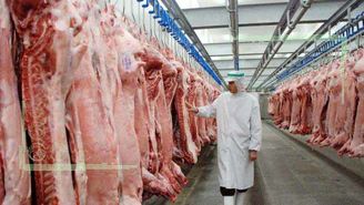 وزارت جهاد به جای واردات گوشت از دامداران داخل حمایت کند