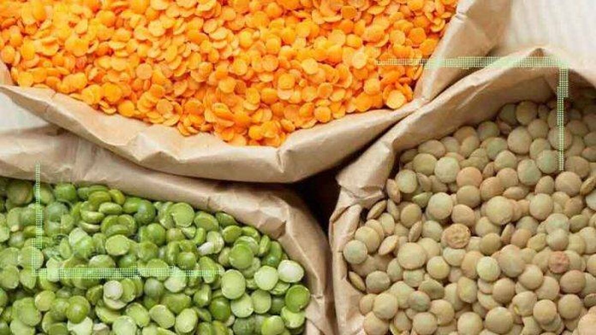 خشکسالی واردات حبوبات را افزایش داد