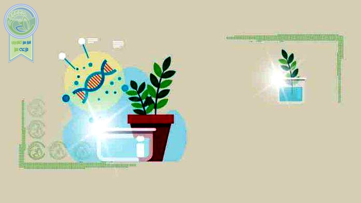 پای صحبت برخی شرکت‌های دانش‌بنیان کشاورزی