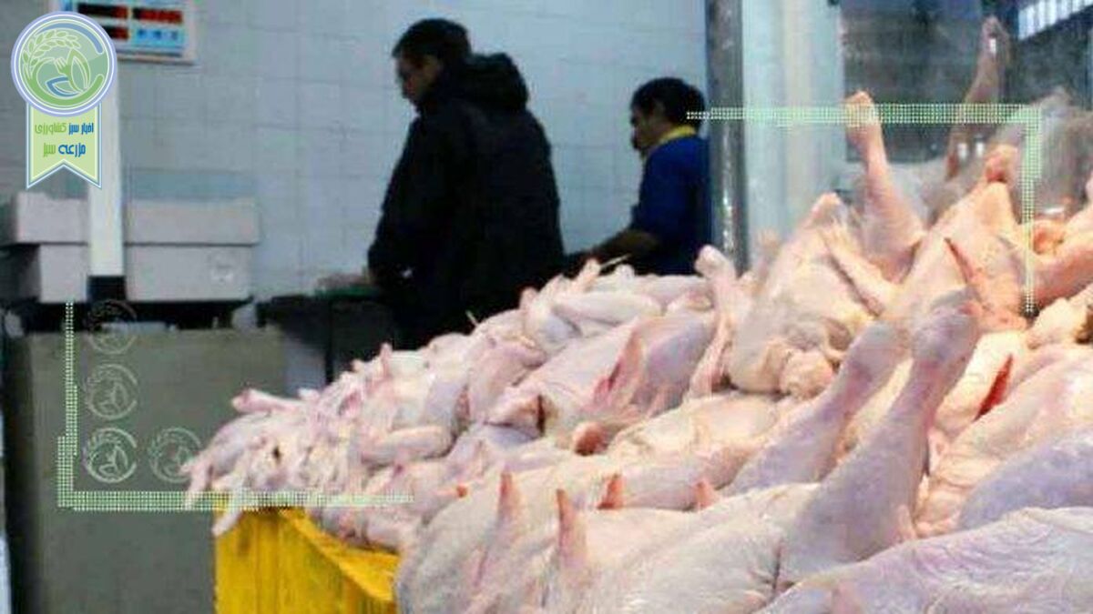 مرغداران در انتظار ابلاغ قیمت‌های مصوب