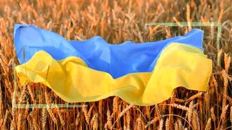 جنگ اوکراین قیمت نهاده‌های کشاورزی را ۱۰ درصد گران کرد