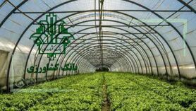 بهره‌برداری طرح‎‌های شهرک گلخانه‌ای حصار گلی با تسهیلات بانک کشاورزی