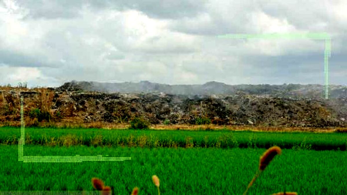 سرریز شیرابه‌ زباله‌ها در شالیزارها