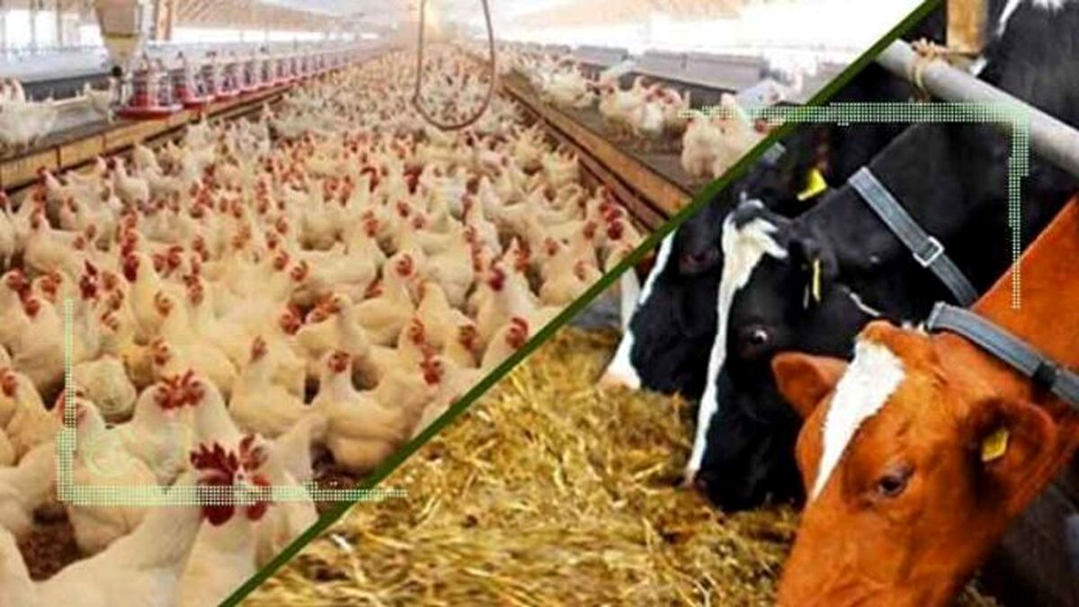 پرداخت تسهیلات مردمی سازی یارانه ها در استان تهران