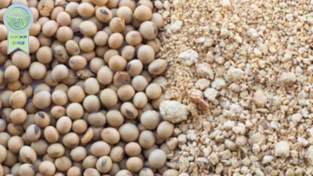 کمبود و گرانی نهاده ها زنجیرهای تولید گوشت مرغ را از هم گسسته اند.