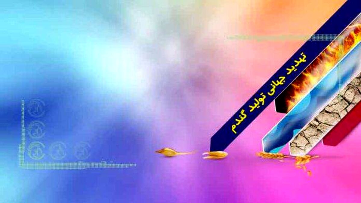 تهدید جهانی اقلیم‌های دنیا به زیان تولید گندم