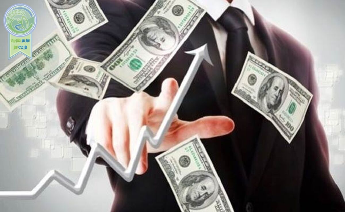 نرخ آزاد دلار تاثیرگذار است، چه قاچاق باشد چه قانونی


