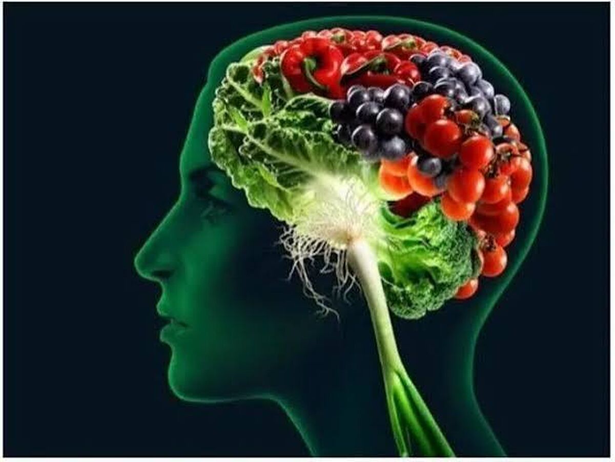 نقش تغذیه سالم در کاهش خطر ابتلا به آلزایمر