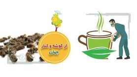 از گوشه و کنار جهان