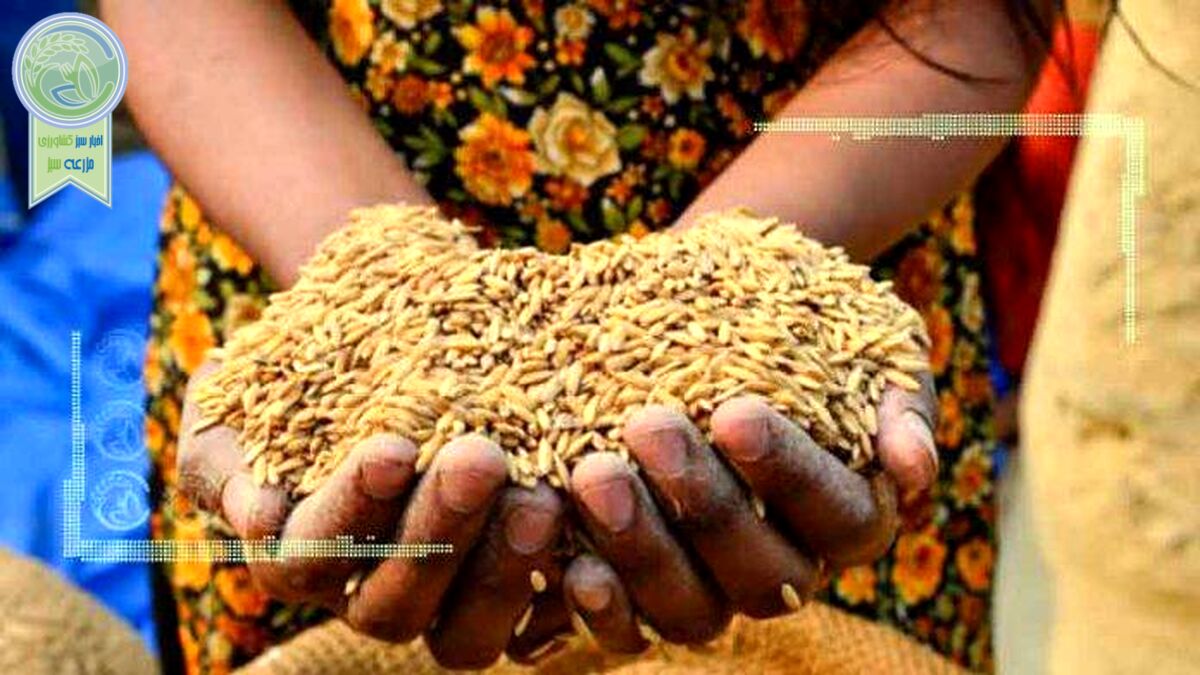 نقش مهم کسب‌وکارها در دست‌یابی به امنیت‌ غذایی