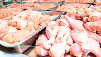 سرانه مصرف مرغ به کمتر از ۲۵کیلوگرم رسید