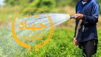 نگاهی به عملکرد و راهبردهای جهاد کشاورزی استان تهران