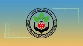 سازمان حفظ نباتات در مسیر پیشرفت
