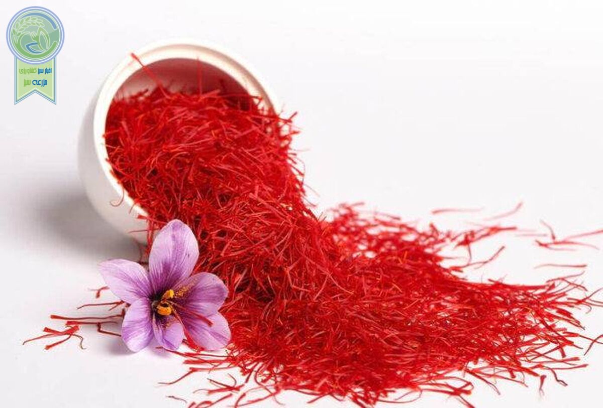 ۴۱ میلیون تومان قیمت خرید هر کیلو زعفران