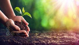 عنصر کلیدی زندگی گیاهان+پادکست