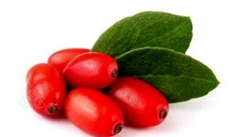 یاقوت سرخ در یک قدمی به بورس و دانش بنیان شدن