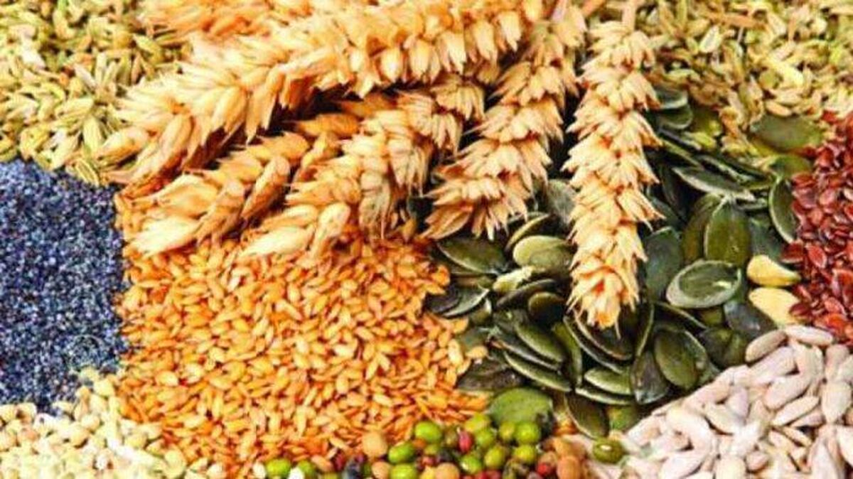چرا الگوی کشت مهم است؟