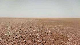 جازموریان قربانی تصمیمات غلط