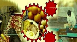 نبود صنایع تبدیلی چالش کشاورزان کرمانی
