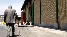در فقدان بانی هیدروپونیک ایران