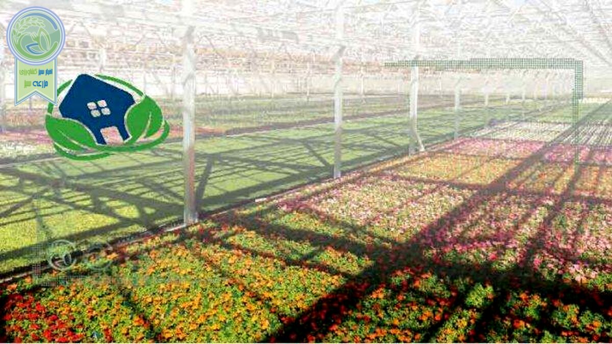 بهترین خاک برای گیاهان گلخانه‌ای
