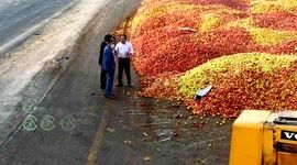 تکرار اوضاع نابه‌سامان بازار سیب در آذربایجان غربی