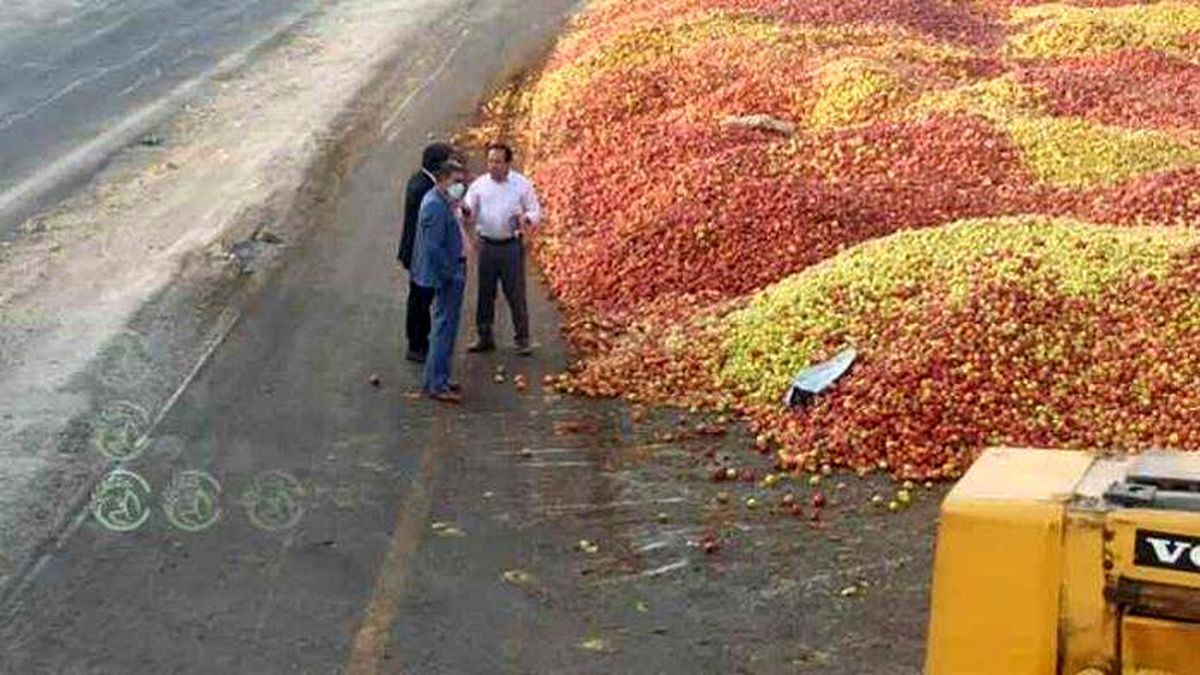 تکرار اوضاع نابه‌سامان بازار سیب در آذربایجان غربی