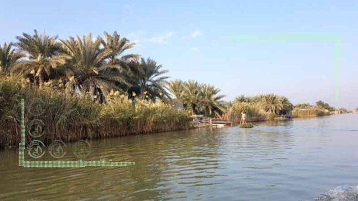 پروژه «پتروپالایش ملل» کاملا ضد محیط زیستی است