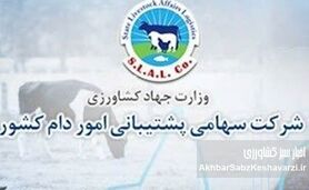 تکذیبیه رسمی شرکت پشتیبانی امور دام کشور: شفافیت کامل در برگزاری مناقصه شماره م/۱۴۰۴/۶۲