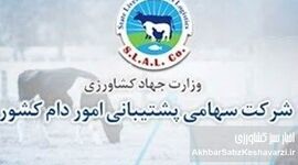 تکذیبیه رسمی شرکت پشتیبانی امور دام کشور: شفافیت کامل در برگزاری مناقصه شماره م/۱۴۰۴/۶۲