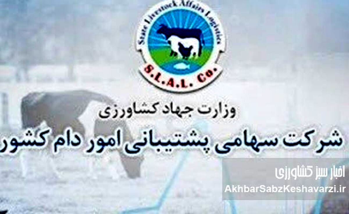 تکذیبیه رسمی شرکت پشتیبانی امور دام کشور: شفافیت کامل در برگزاری مناقصه شماره م/۱۴۰۴/۶۲