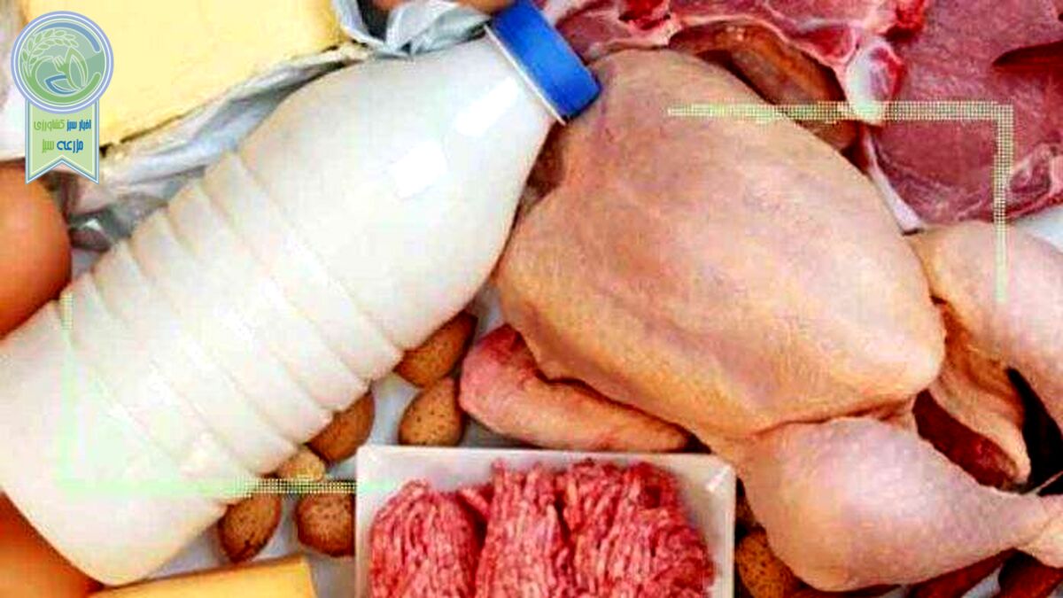 قیمت مرغ و لبنیات در 2 ماه آینده افزایش می‌یابد