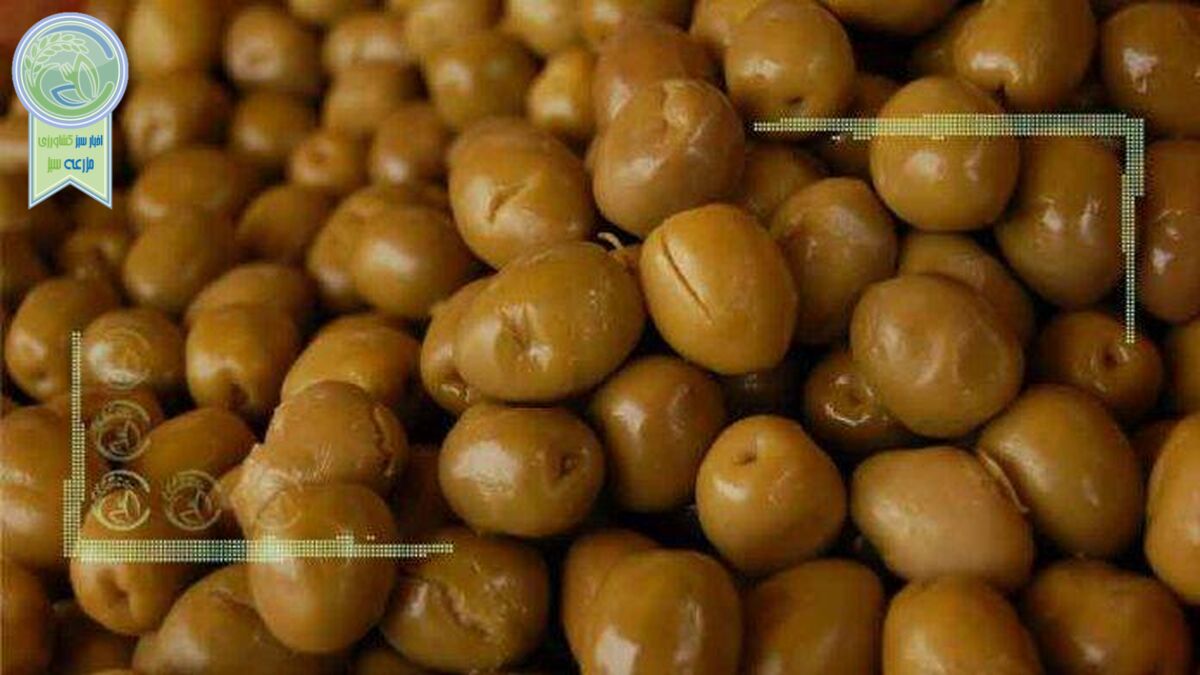 خرید حمایتی زیتون توسط تعاون روستایی اجرایی نشده