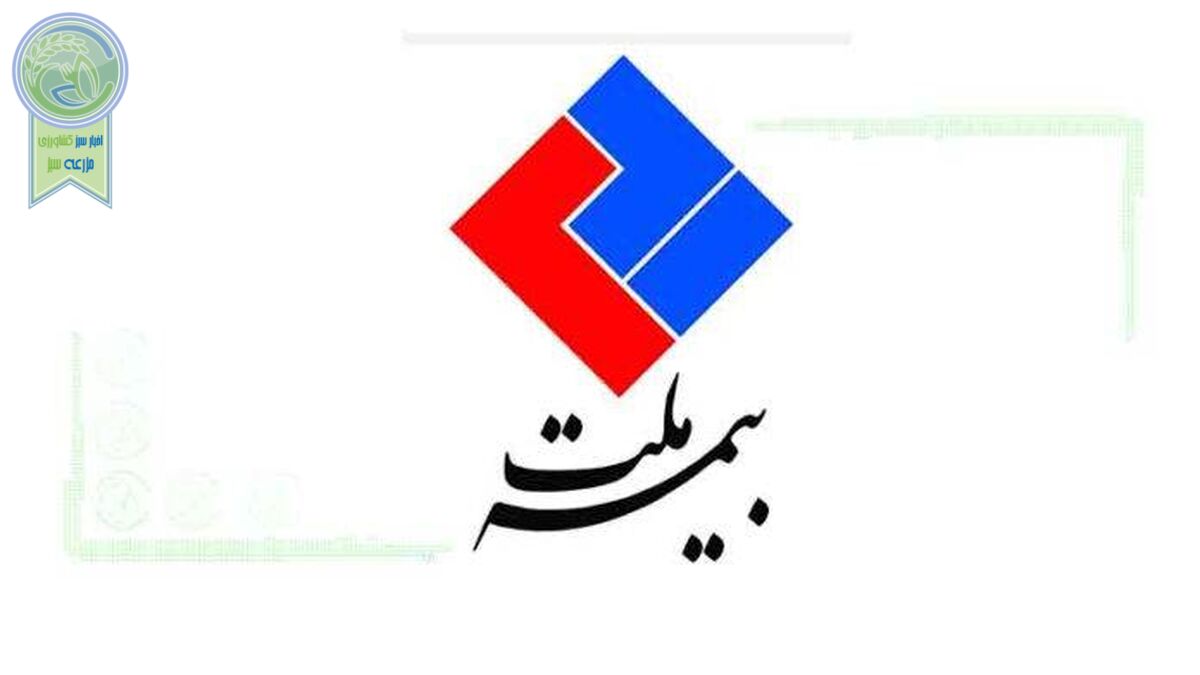 شناسایی درآمد قابل توجه صدور بیمه‌نامه در بیمه ملت