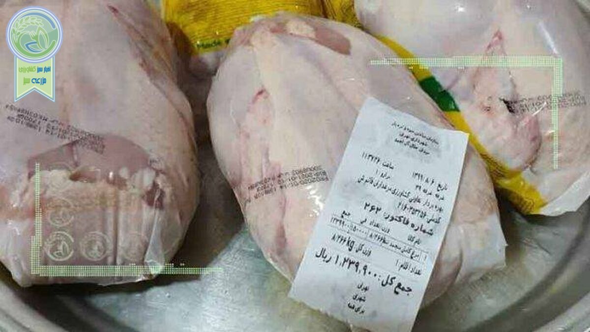 توزیع مرغ با تاریخ انقضای نزدیک