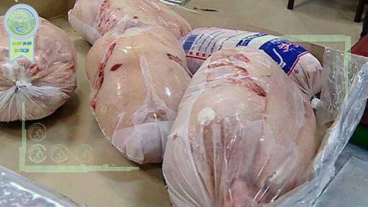 مرغ منجمد دولتی کیلویی ۴۵ هزار تومان