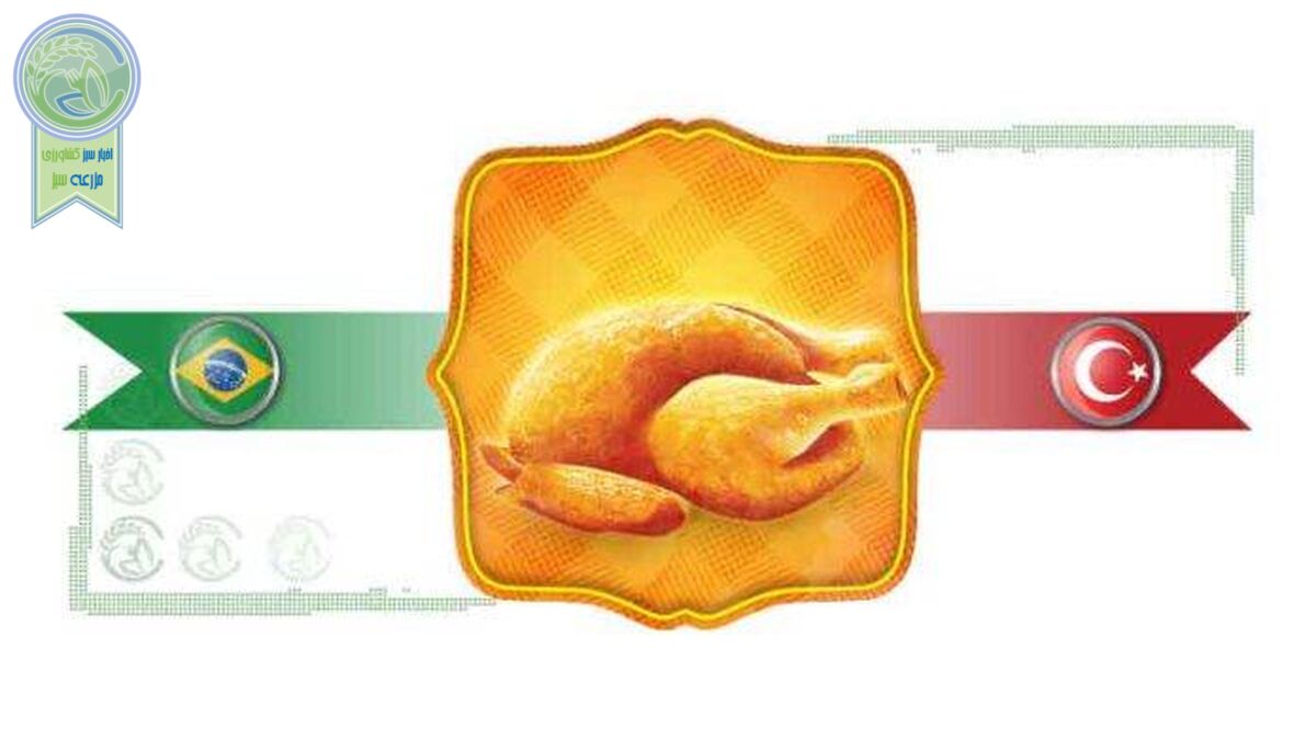 مرغ ترکیه و برزیل غازه؟!