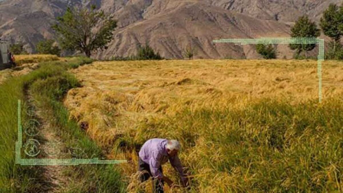 افزایش بهره‌وری و ارتقای کیفیت دغدغه اصلی نظام مهندسی