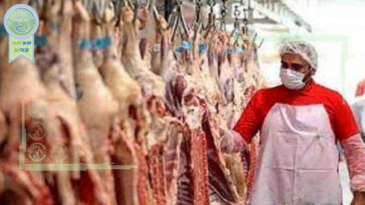 تاثیر قاچاق و صادرات دام بر بازار گوشت